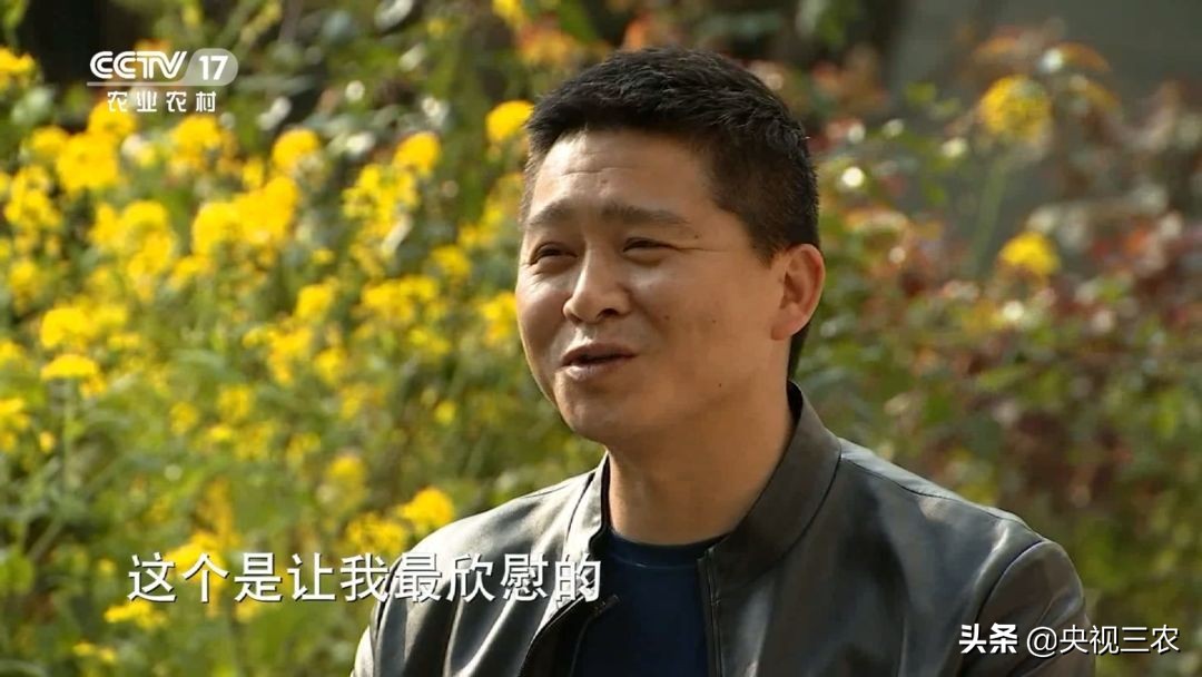 90后的湖北村支书,湖北最硬核村支书