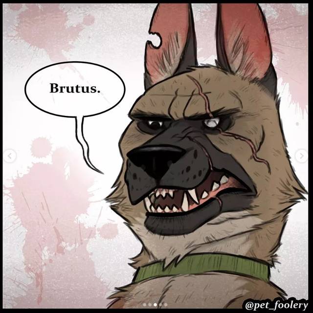 这反差萌也太有爱了，实力宠喵没商量！