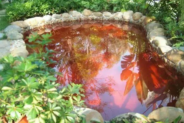 东方夏湾拿酒店温泉游玩攻略,国庆出去旅游哪里好玩