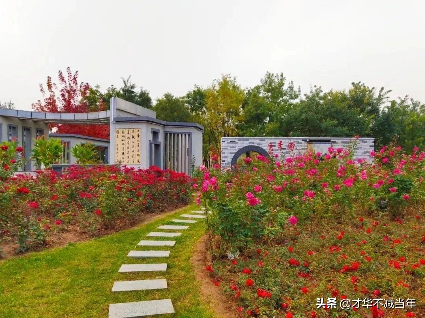 山大商务学院最新公示,山大商务学院现在不能进校门吗