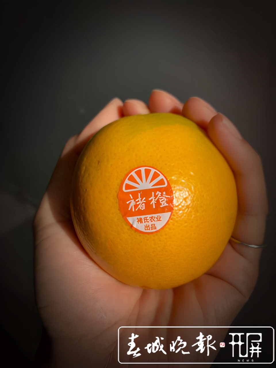 褚橙第一次开始售卖是什么时候,褚橙现有产品