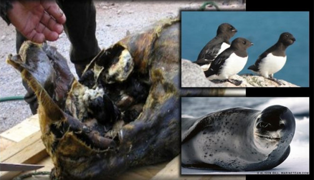 北极的爱斯基摩人,北极的爱斯基摩人纪录片