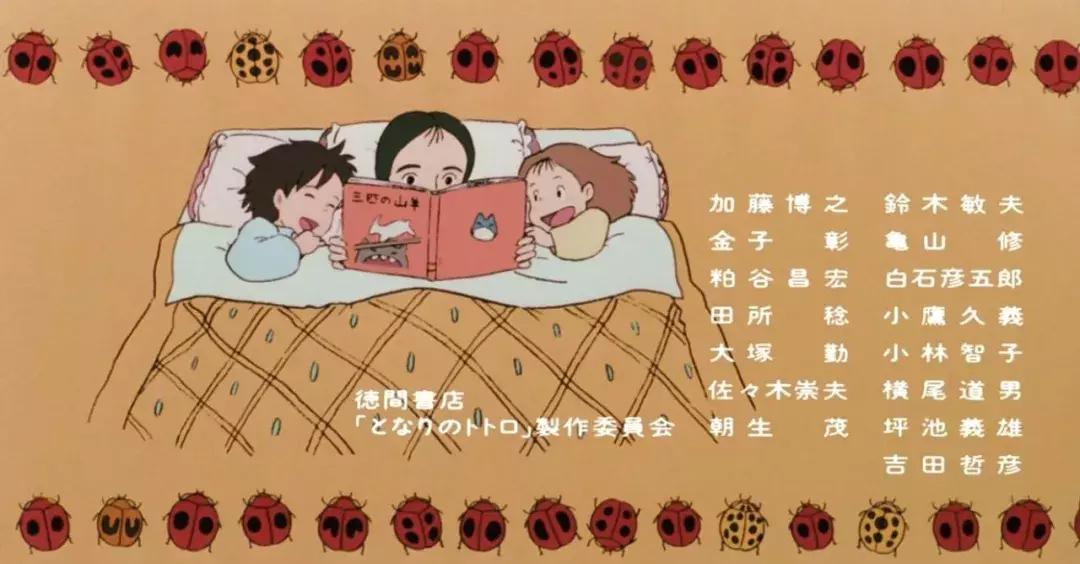 龙猫最久能活多久,龙猫30秒