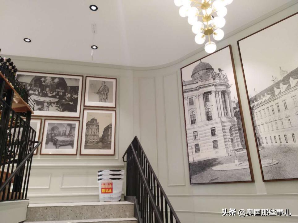 奥地利抗疫表现,奥地利感染新冠