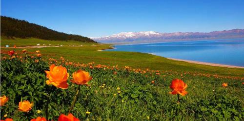 旅游出行便携10大神器,春秋航空特价旅行