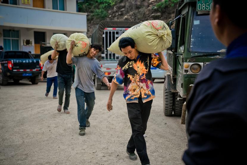 收17元卖1567元，云南咖农苦不堪言，拼多多用这方法帮了农民大忙