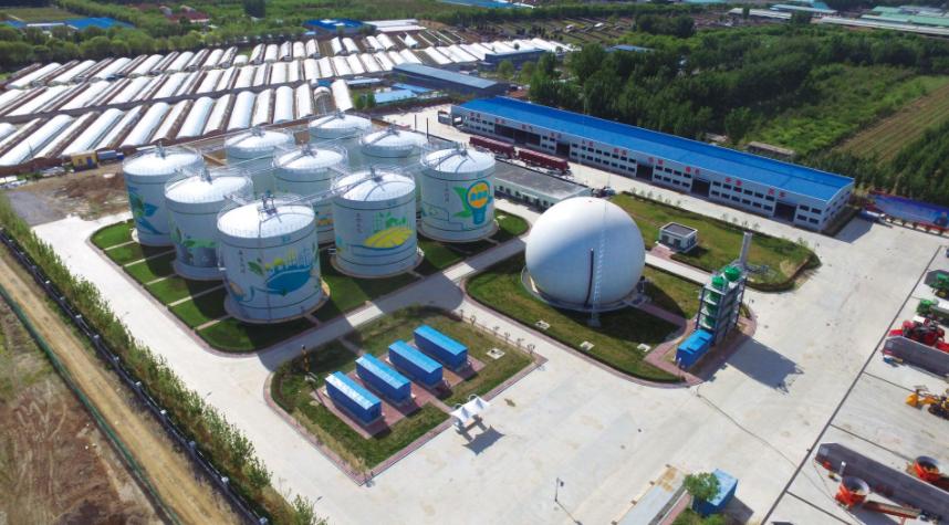 中国养好几万个鸡用鸡粪发电,全国最大的鸡粪发电厂