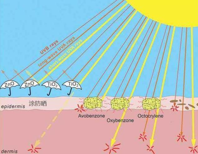 抬头纹太重怎么补救,抬头纹太重怎么改善