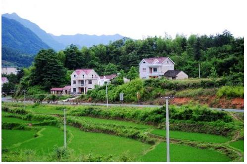 农村创业100个项目赚钱,农村小型月入50万冷门创业项目