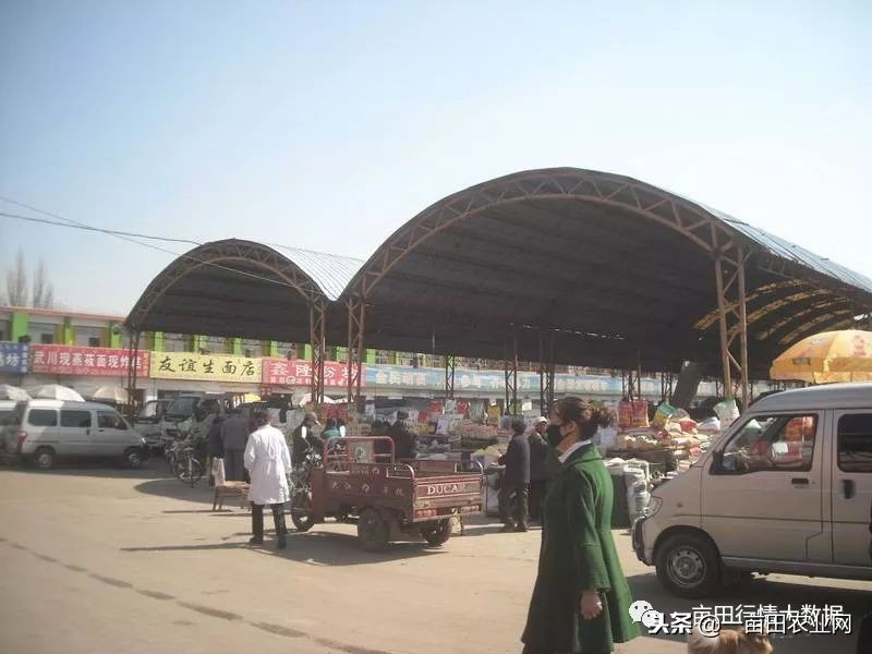 全国今日蔬菜菜价,全国菜价最新消息