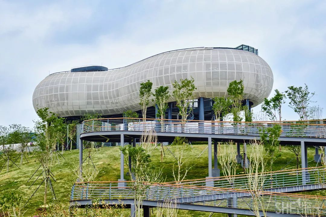 深圳网红公园地铁站,深圳地铁最近有什么公园