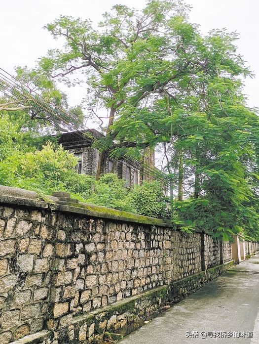 广东江门古老村庄,新会古井皇族村