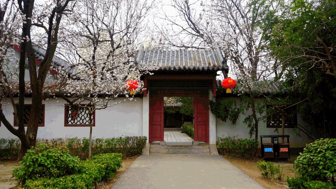 聊城姜堤乐园的门票是多少钱,姜堤乐园玻璃桥