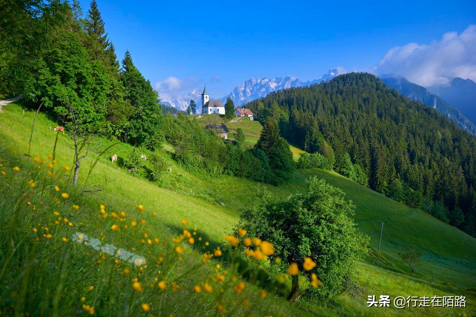 斯洛文尼亚著名景点,斯洛文尼亚在地图上为什么找不到