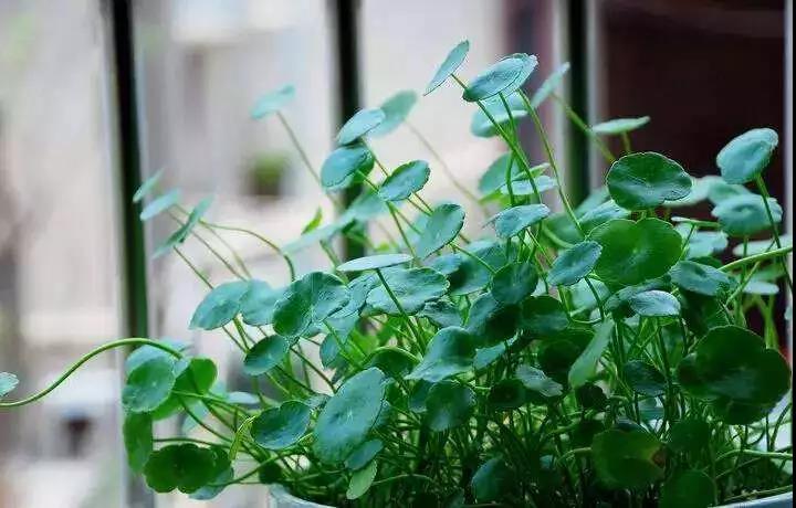 澳大利亚旅游实用贴士,澳大利亚旅游指南文章