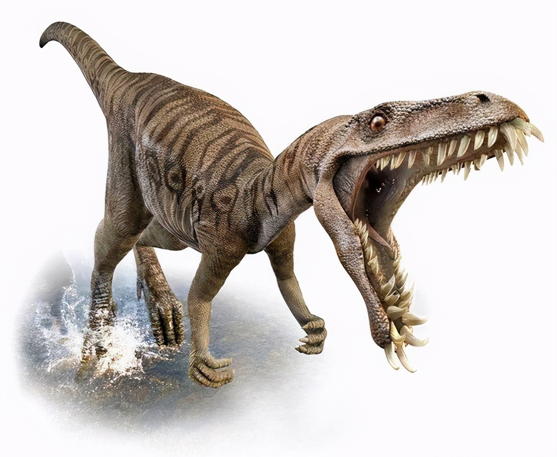 史前恐龙是怎么诞生的,史前恐龙的进化史