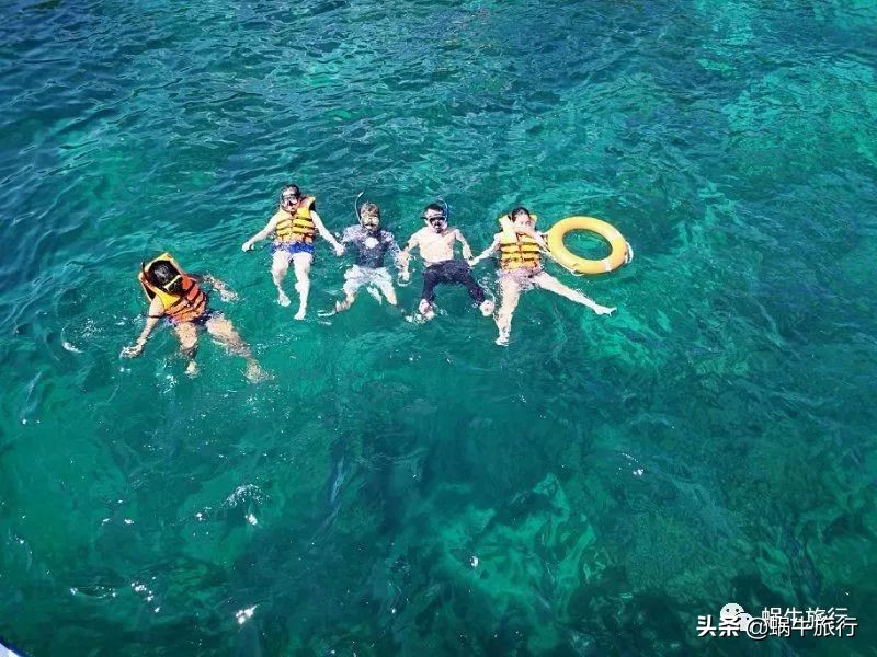 巨蜥像退休大爷休闲漫步；满海的活珊瑚、海葵…国家公园开岛啦