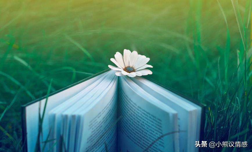 可以忍但又不能忍,可以忍的人