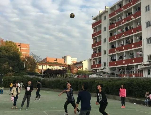 排球社团经历,排球社社团活动流程