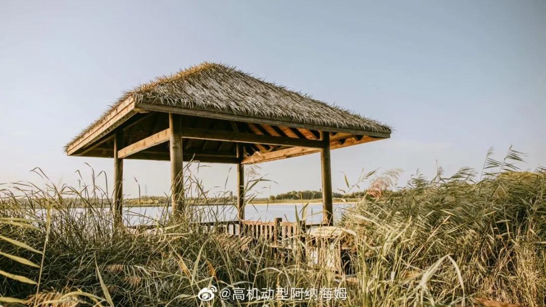 天津十大自然风景区,天津九山顶自然风景区赏秋