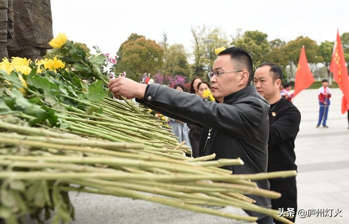 育英学校合肥,合肥市思政微课堂