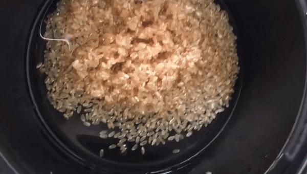 小姨做饭原视频,小姨做竹筒米饭