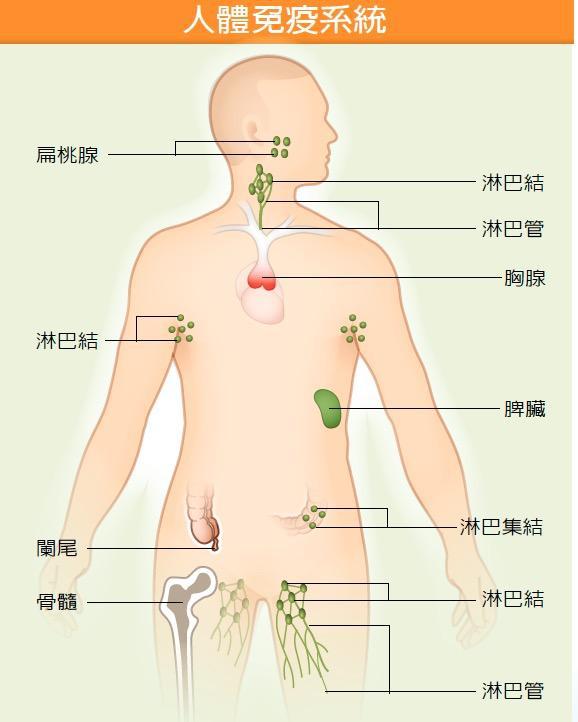 行为性疾病艾滋,艾滋病性传播的概率为什么那么低