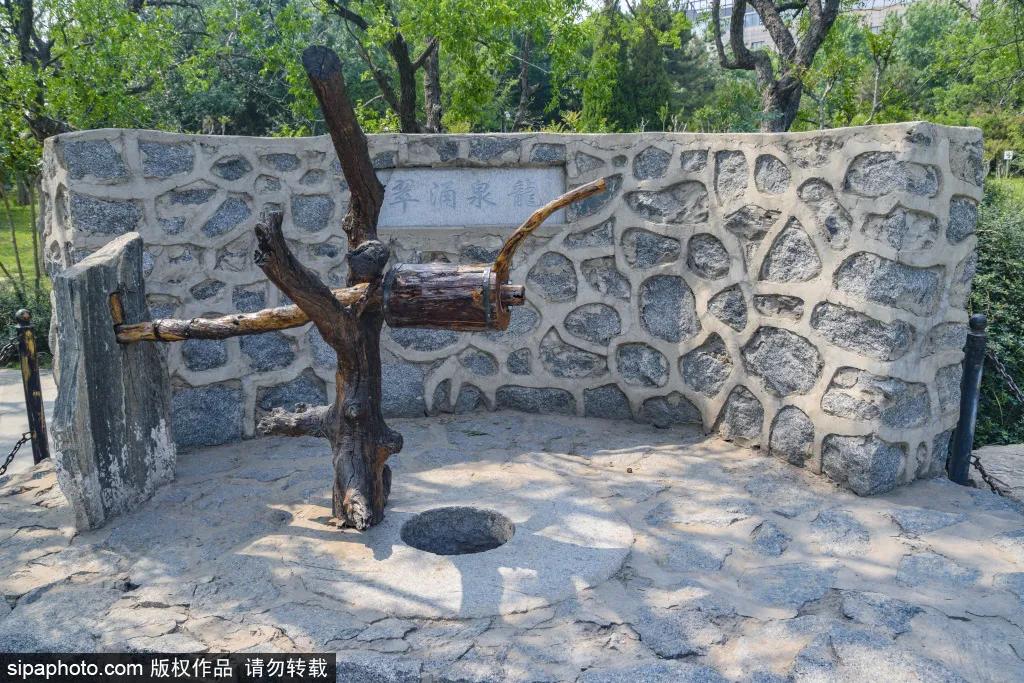 紫色花海免费版,紫色花海免费