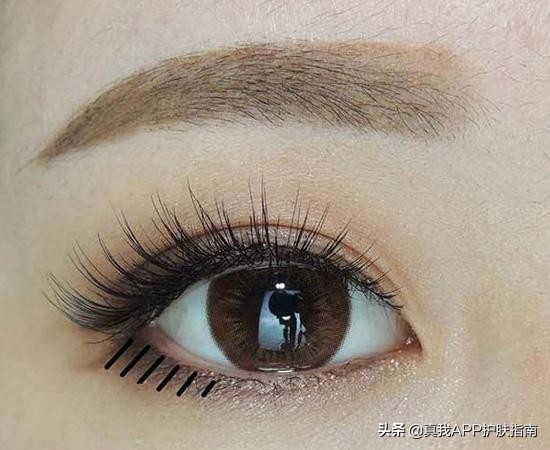 干货分享科学护肤正确的化妆步骤,有哪些常见的护肤误区