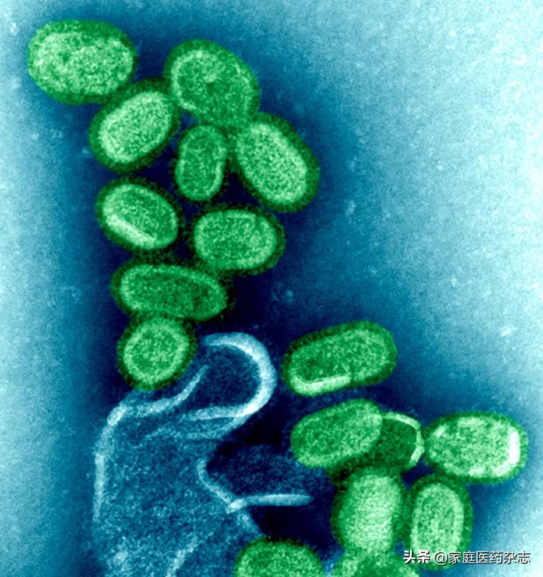 鍋囧鐥呮瘨鎰熸煋浜嗘垜,鍋囧鐥呮瘨鎰熸煋浜嗕綘