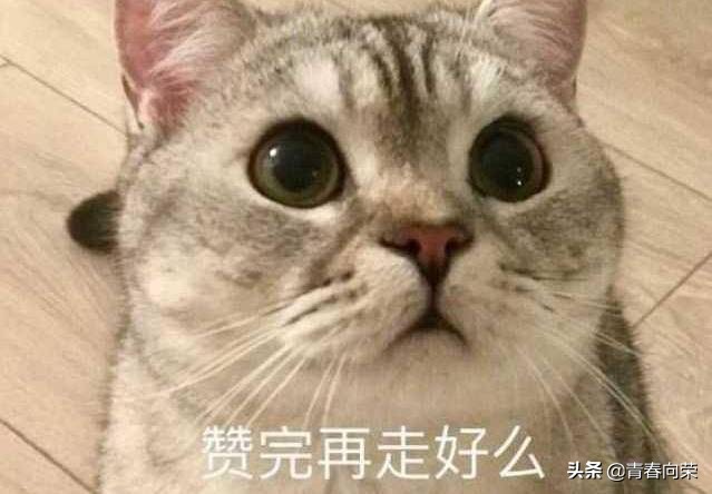 电脑显示器选购注意事项及要求,选购电脑显示器有哪些注意事项