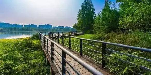 巴适自驾旅游攻略,巴适小众公园