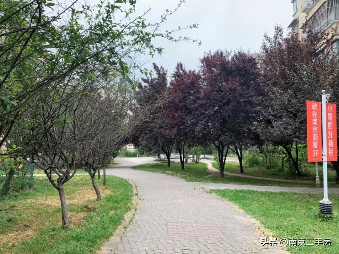 周边小区房价暴涨,垃圾遍地的小区