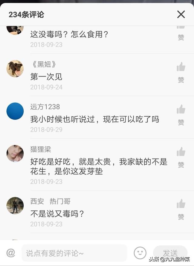 花生芽的危害辟谣,自己发的花生芽有毒吗