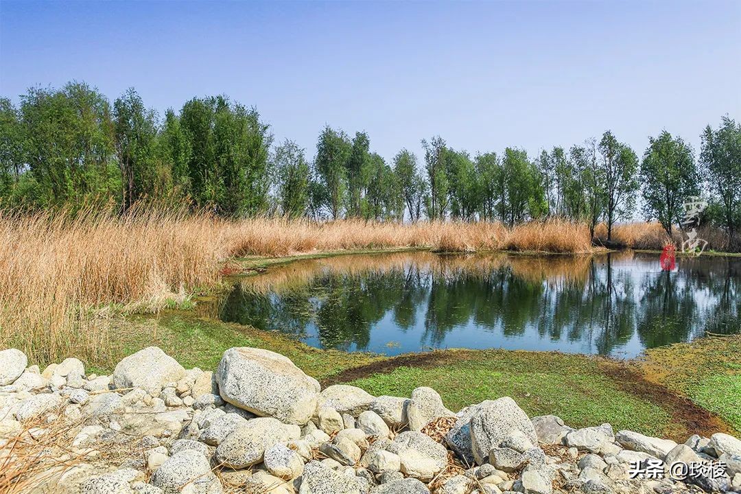 洱海并不是海，环海最美的一段其实是这里，你去对了吗？