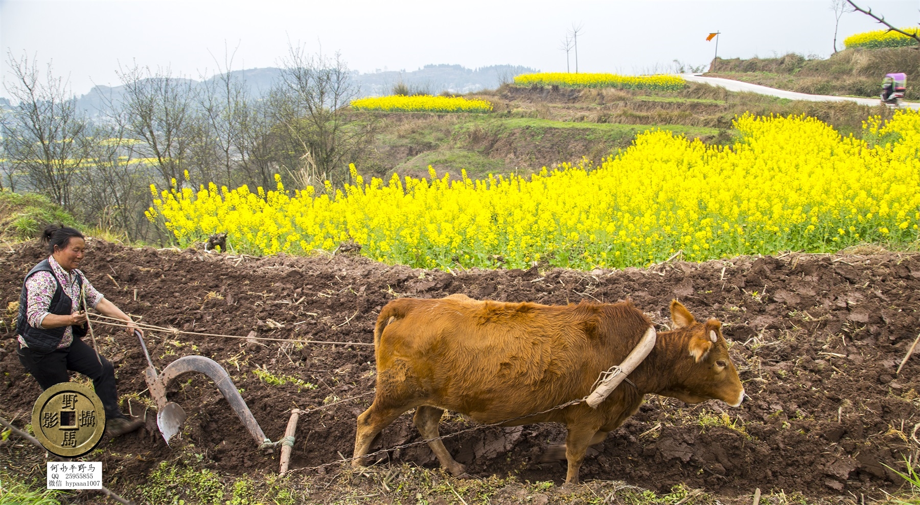 广安撤县名单查询,70年广安县有多少个人民公社