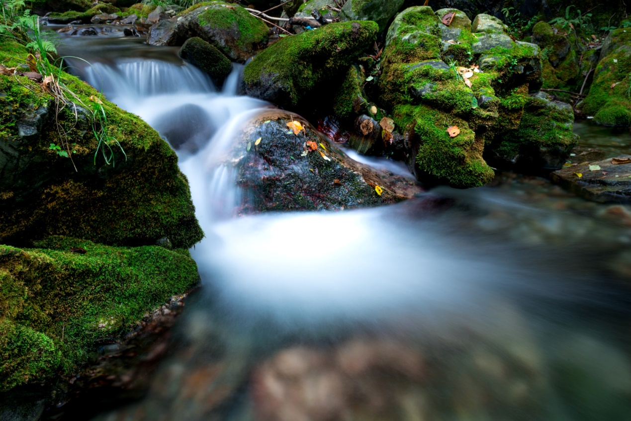 宁波三月踏春好去处有哪些,宁波春季旅游好去处