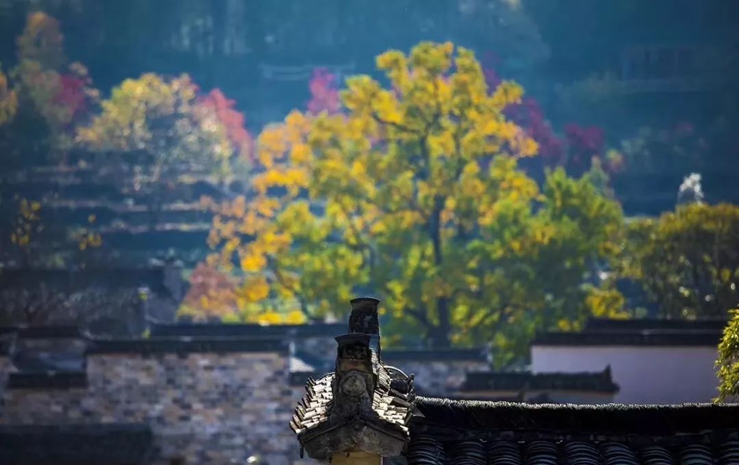 徽州赏秋三日游自驾游攻略,小众徽州赏秋村落