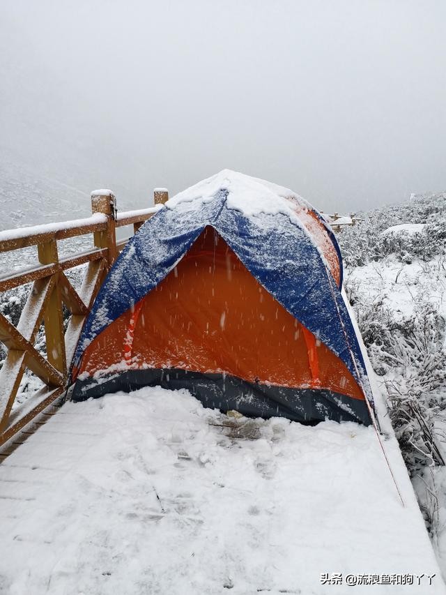 年保玉则现在开放了吗,年保玉则为啥被封