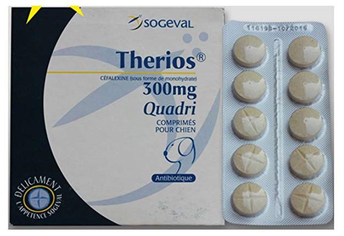 宠物可以吃的人类消炎药,人用的消炎药宠物可以用吗