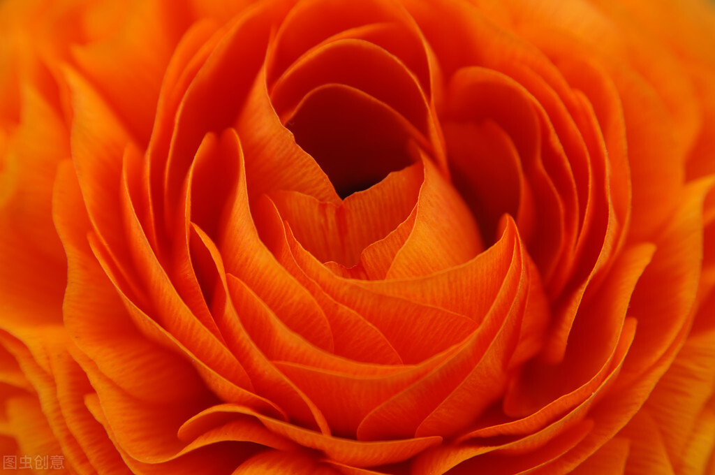 同样只活在自己的世界里,熊磊、丁红、素老三,人生如此不同