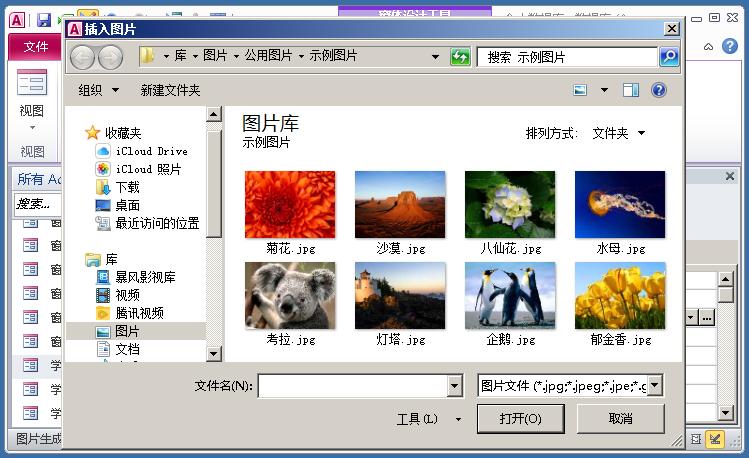 access进销存窗体实例,access登录窗体快速创建技巧实例