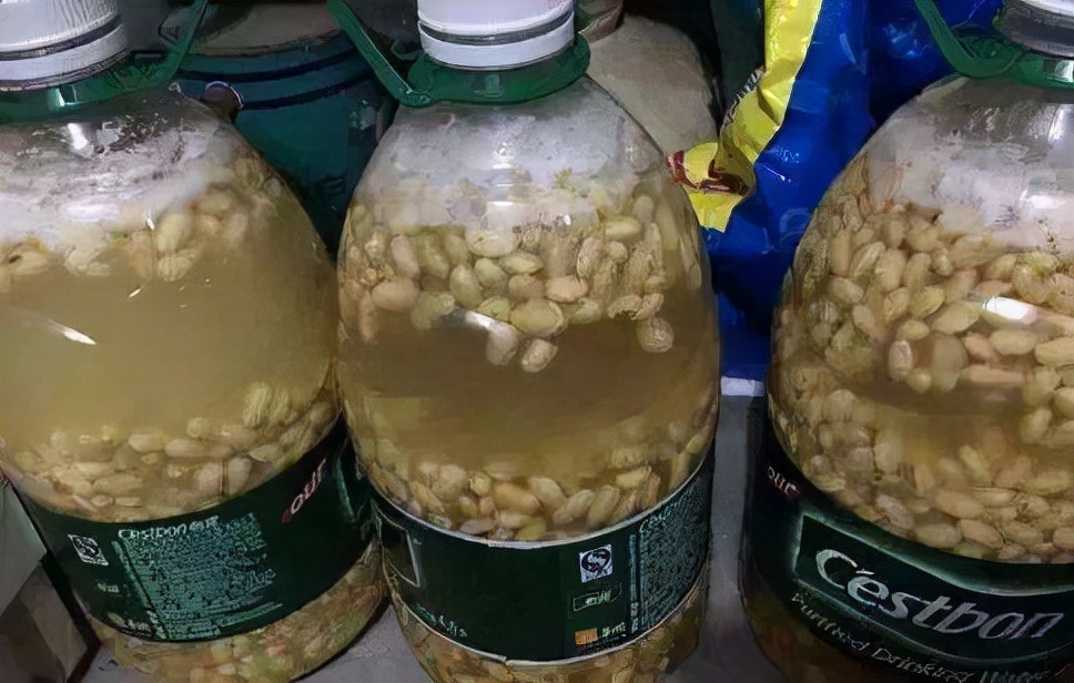 家庭养花的垃圾处理,垃圾养花有哪些好处