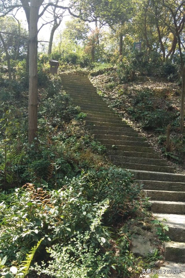 杭州市萧山区湘湖旅游攻略,湘湖旅游攻略一日游最佳路线