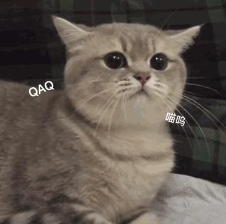 那些所谓的减肥产品真的都有用么,各种减肥产品真的很丢人吗