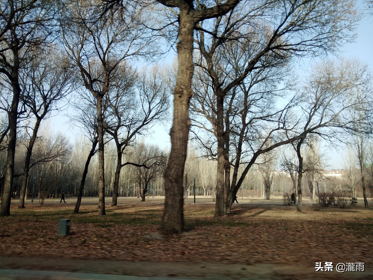 一个人浙江周边2-3天短途旅游,浙江出发1000公里以内旅游