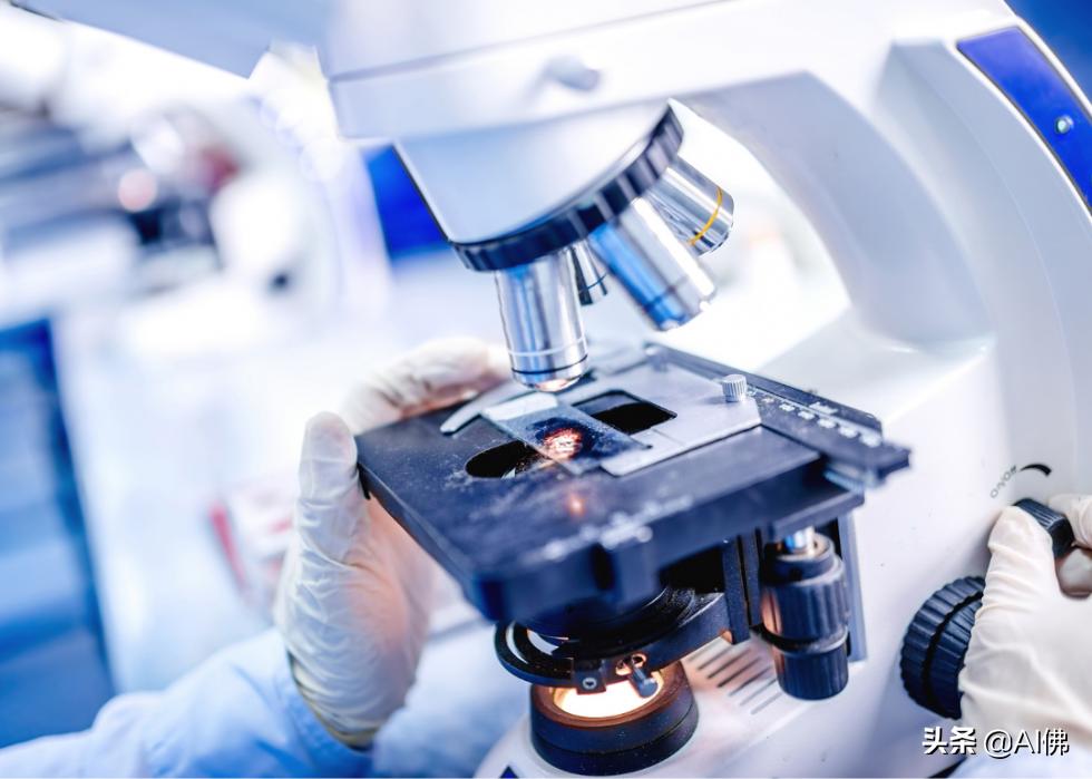 美国薪酬最高职业排行,美国首席大法官年薪