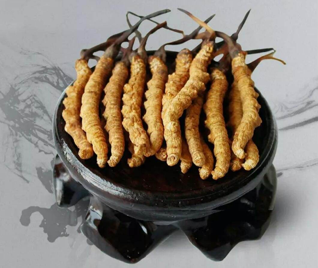 专业收购冬虫夏草上门回收,海珠免费上门回收冬虫夏草