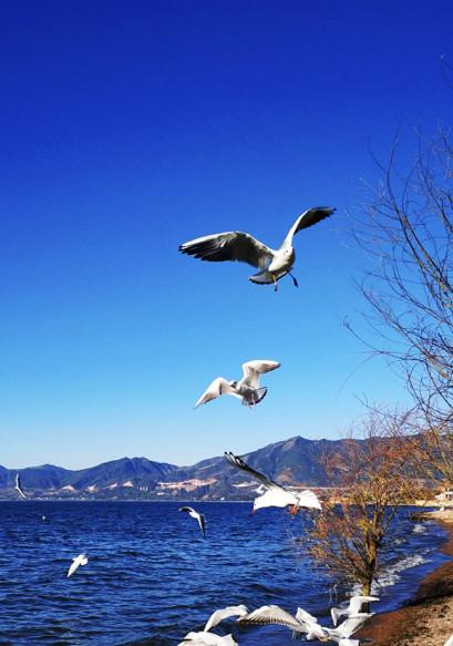 云南抚仙湖欢乐大世界，寒武纪小镇，文旅投资新热点