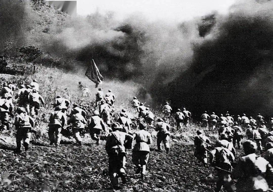 113师参加过哪些战争,113师所有战役